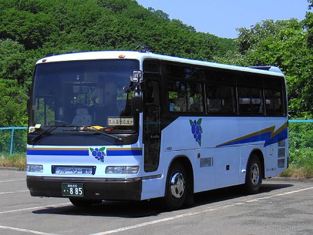 white bus in parking lot