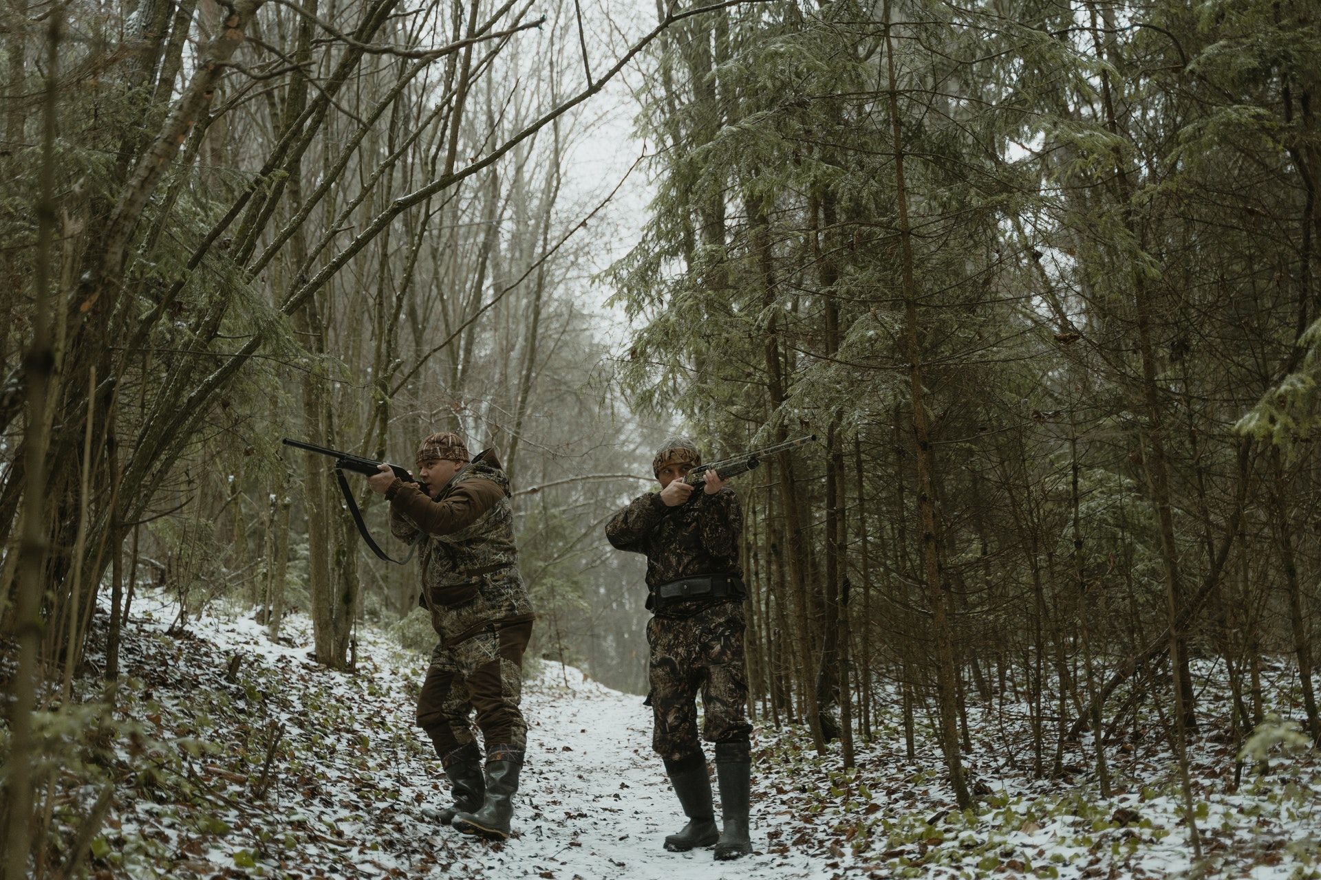 Hunting