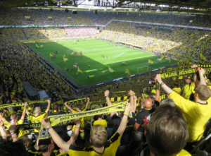 yellow fans